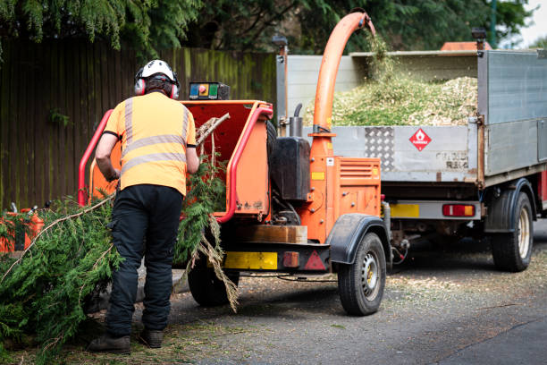 Best Tree Cutting Near Me  in Silver Summit, UT